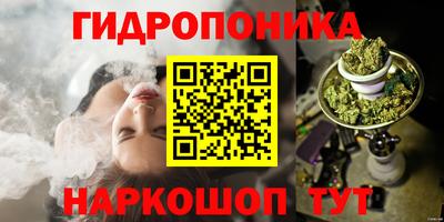 гашик Шахты